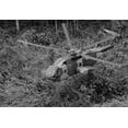 thumbnail image 1 of Vietnam War. An Unmarked Us Air Force Helicopter Landing In Southeast Asian Jungle During Operation 'Pony Express.' Pony Express Provided Covert Transport For Indigenous Soldiers Operating Across The, 1 of 1