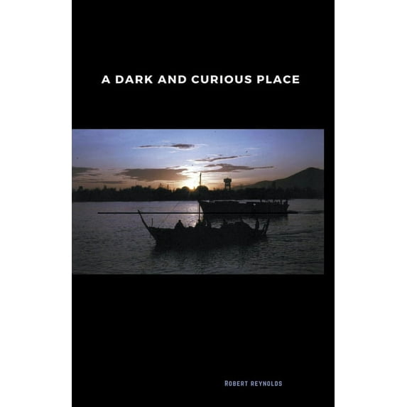 Vietnam War Era A Dark and Curious Place, (Paperback)