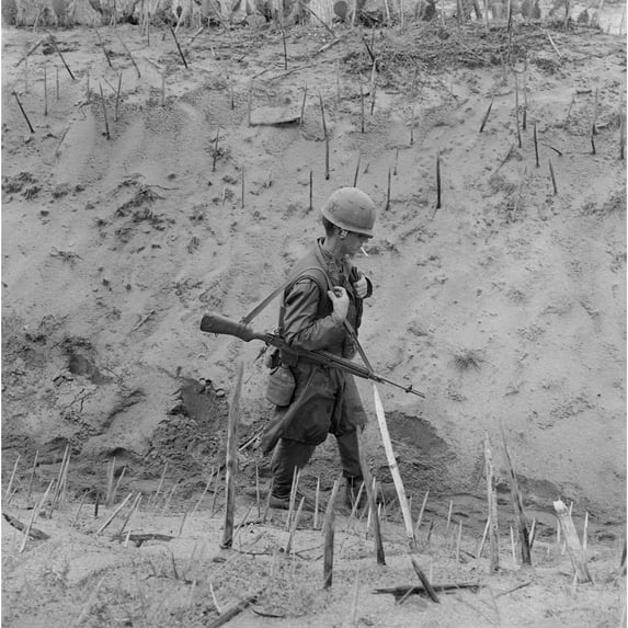 Vietnam War. Us Marine Walks Through A Punji-Staked Gully. Punji Stake Booby Traps Were Made Out Of Wood Or Bamboo