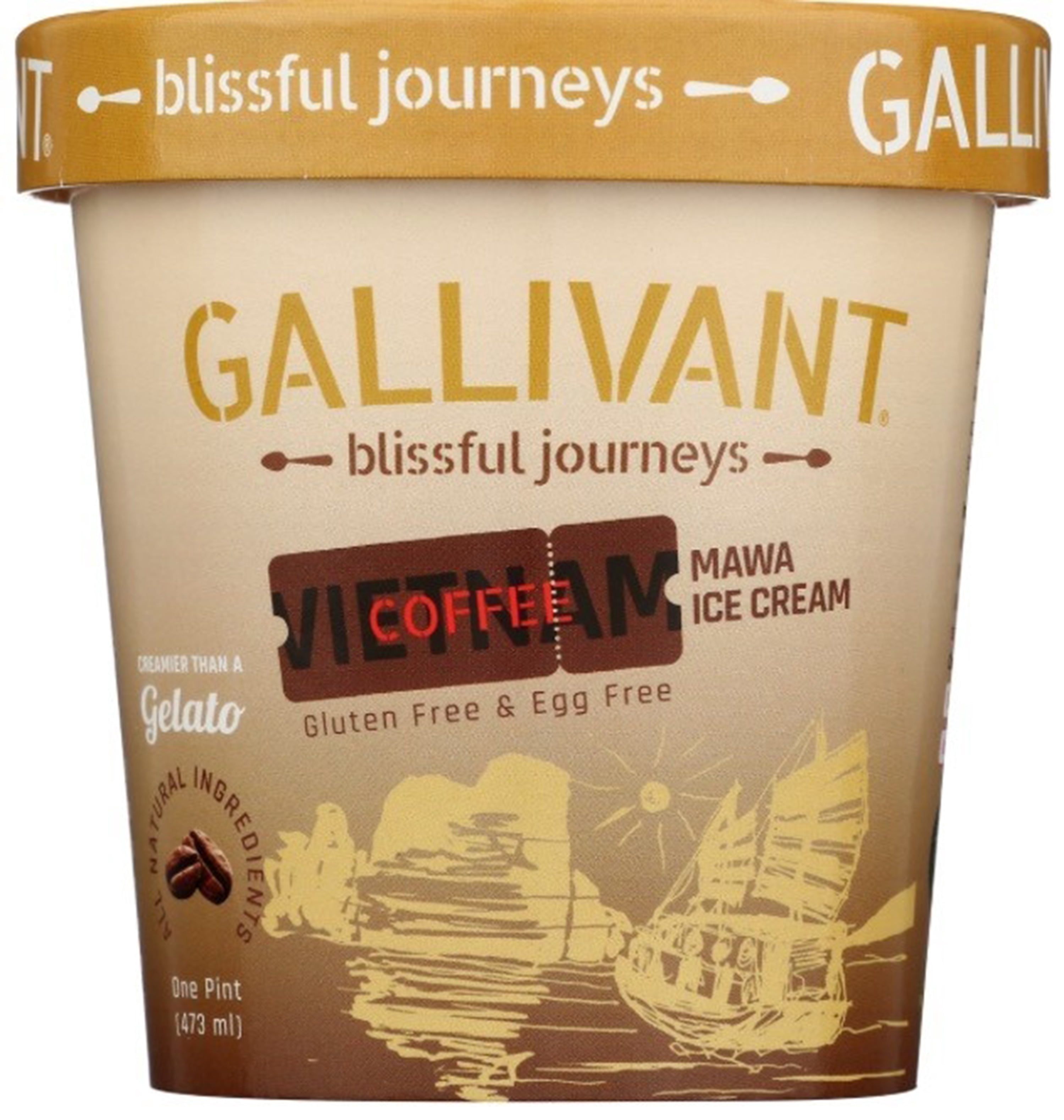 Vietnamese Coffee Mawa Ice Cream