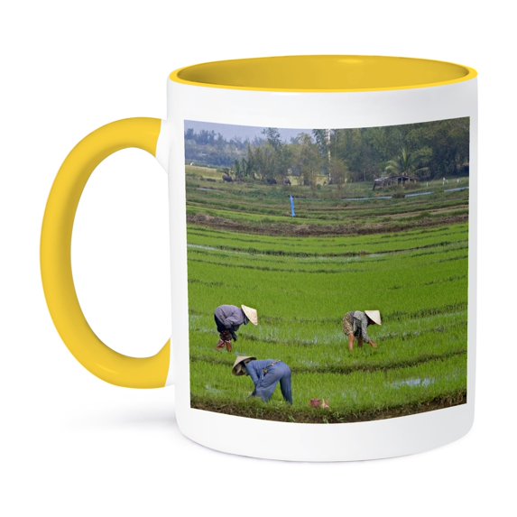 3dRose, Vietnamese farmer, Rice paddy, Hoi An, Vietnam-AS38 DFR0372 - David R. Frazier, 15oz Two-Tone Yellow Mug