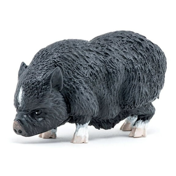 Vietnamese Pot Belly Pig