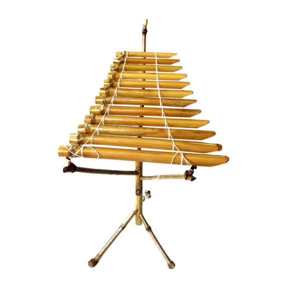 Vietnamese Xylophone T Rung Ethnic Percussion Instrument Bamboo DIY Assembly for Yoga Meditation Stage Adults
