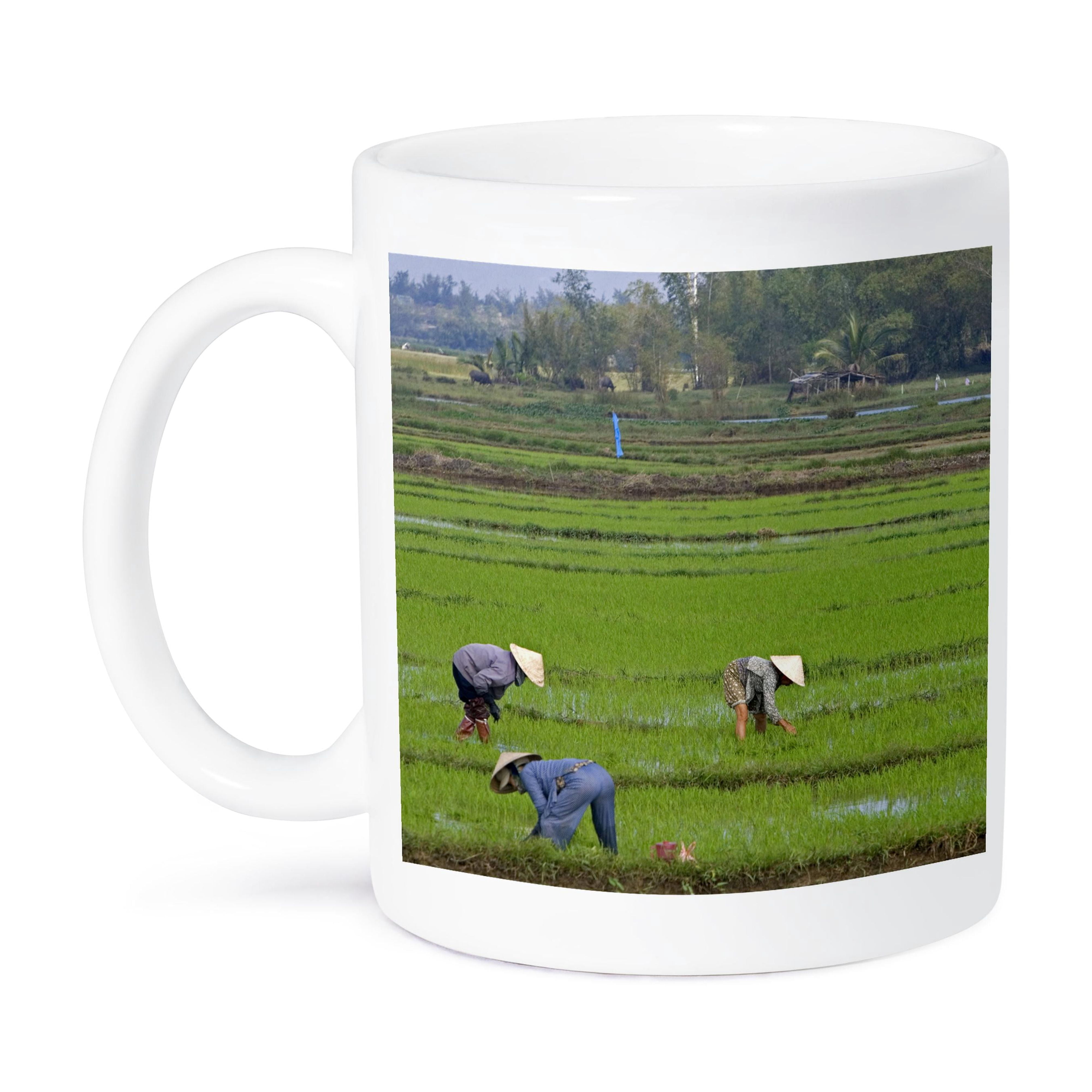 3dRose Grußkarten-Set (12 Stück) – Motiv 'Farmer Reis Vietnam', 8 X 8 Cm, Mit Umschlägen