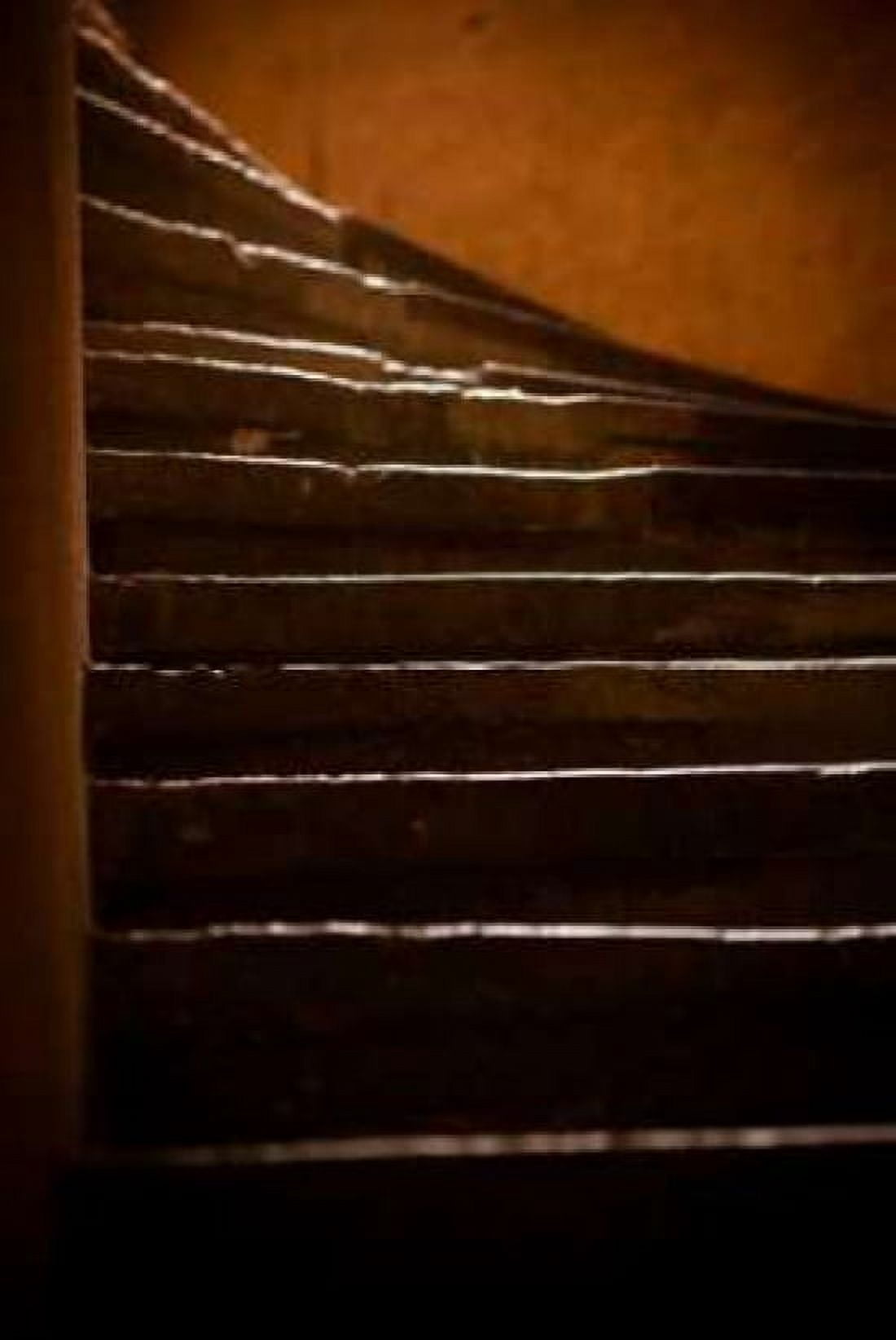 Vieux Lyon Staircase Canvas Art - Erin Berzel (24 x 36)