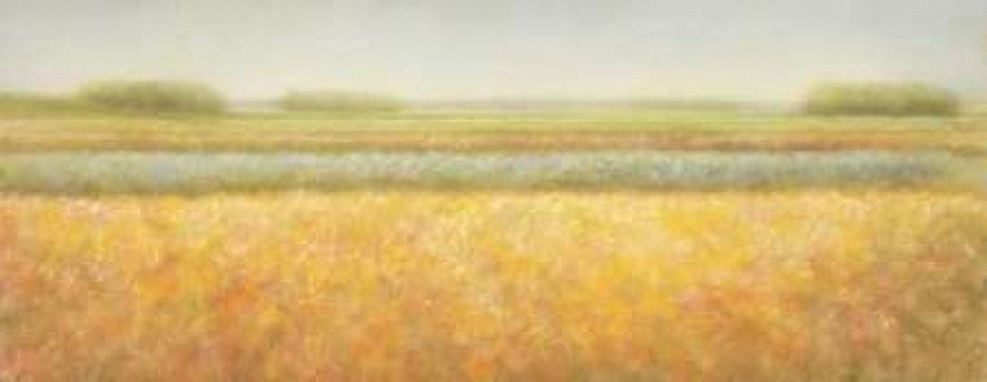 View Canvas Art - Hans Dolieslager (10 x 20)
