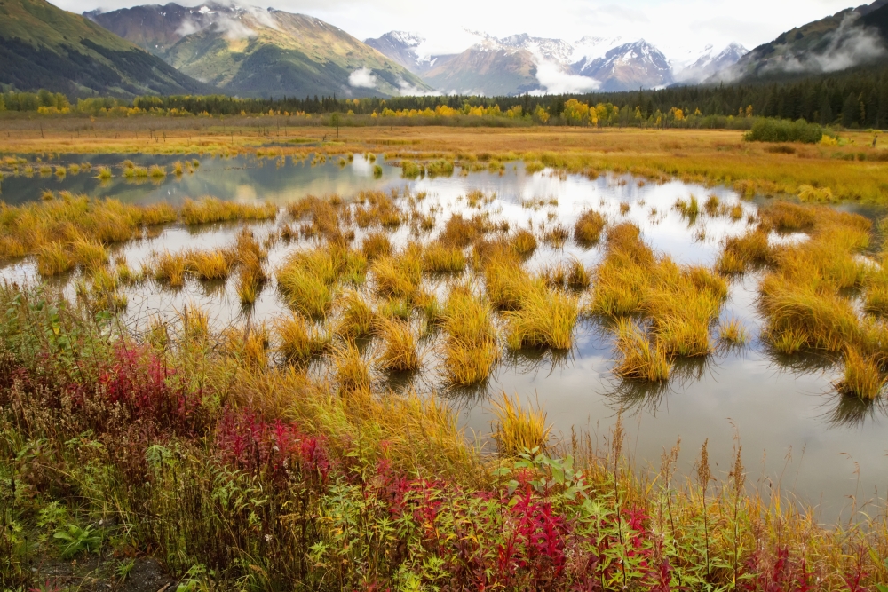 View Of Colorful Landscape From The Seward Highway At About Mile 90 Looking Towards Girdwood Southcentral Alaska Autumn Canvas Art - Doug Lindstrand Design Pics (19 x 12)