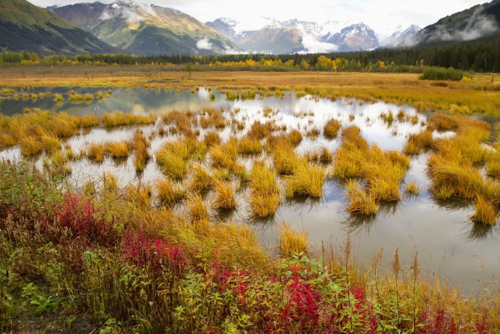 View Of Colorful Landscape From The Seward Highway At About Mile 90 Looking Towards Girdwood Southcentral Alaska Autumn Canvas Art - Doug Lindstrand Design Pics (38 x 24)