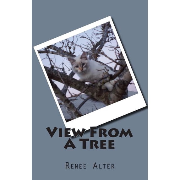 View From A Tree : Full Color (Paperback)