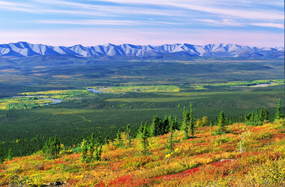 View From Ogilvie Ridge Lookout Dempster Highway Yukon Canvas Art - Robert Postma Design Pics (18 x 11)