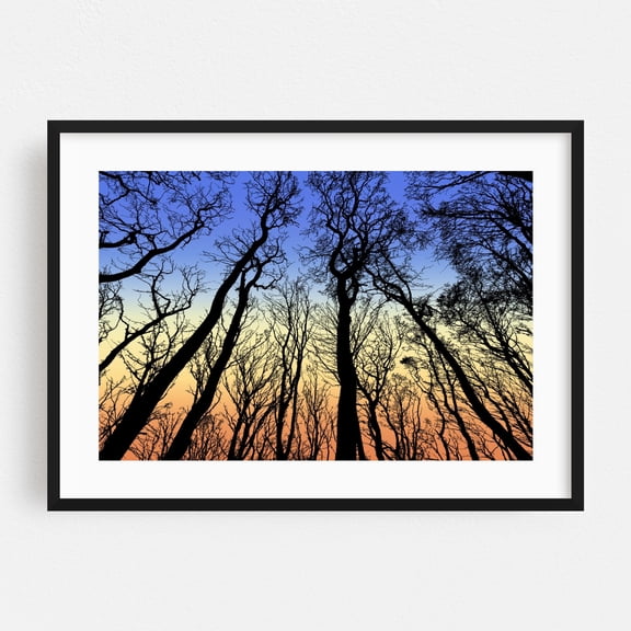 View From The Bottom Of The Forest Trees - Digital Art Silhouette Sunset Woods Forest Nature Autumn Scenic Black Framed Wall Art Print 11 x 14 inches