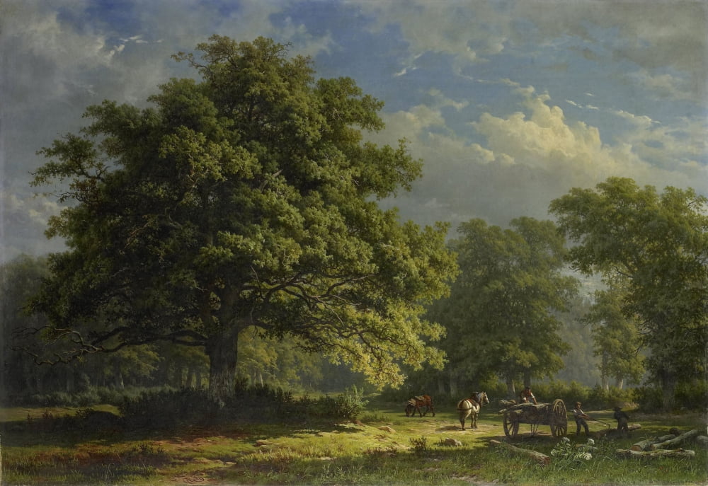 View In The Bentheim Forest Canvas Art - (36 x 24)