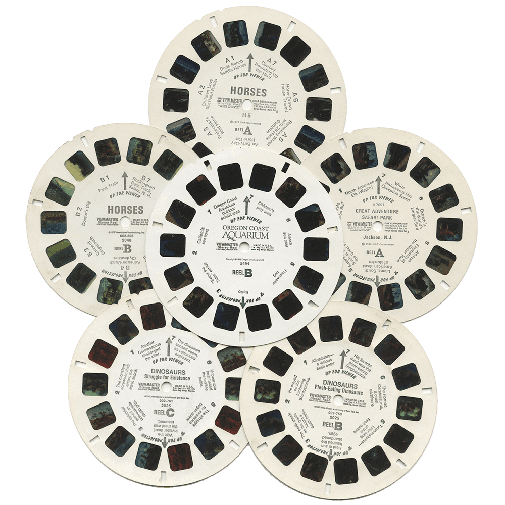 Master Animals View-Master Animals 6 Reels - Dinosaurs, Horses, Oregon Coast Aquarium ...