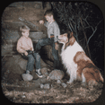 thumbnail image 1 of View-Master Movie/TV Show 6 Reels - Lassie and Timmy, James Bond, Lancelot Link, 1 of 5