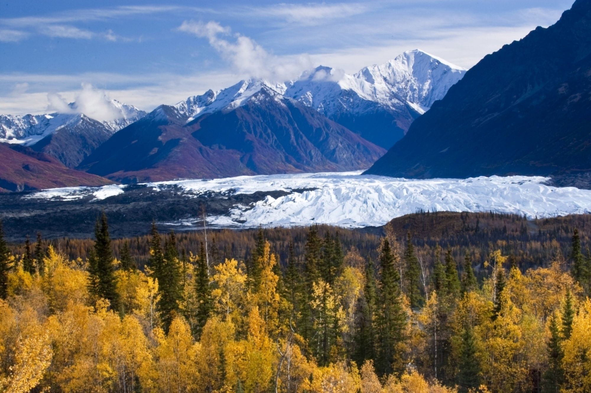 View Of Matanuska Glacier With Golden Autumnal Aspen Trees In The Foreground Matanuska-Susitna Valley Southcentral Alaska Fall Canvas Art - Carl Johnson Design Pics (17 x 11)
