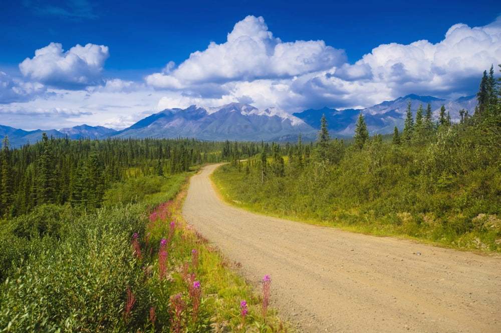 View Of The Mentasta Moountains From Nabesna Road In Wrangell Saint Elias National Park Southcentral Alaska Summer Canvas Art - Michael Jones Design Pics (19 x 12)