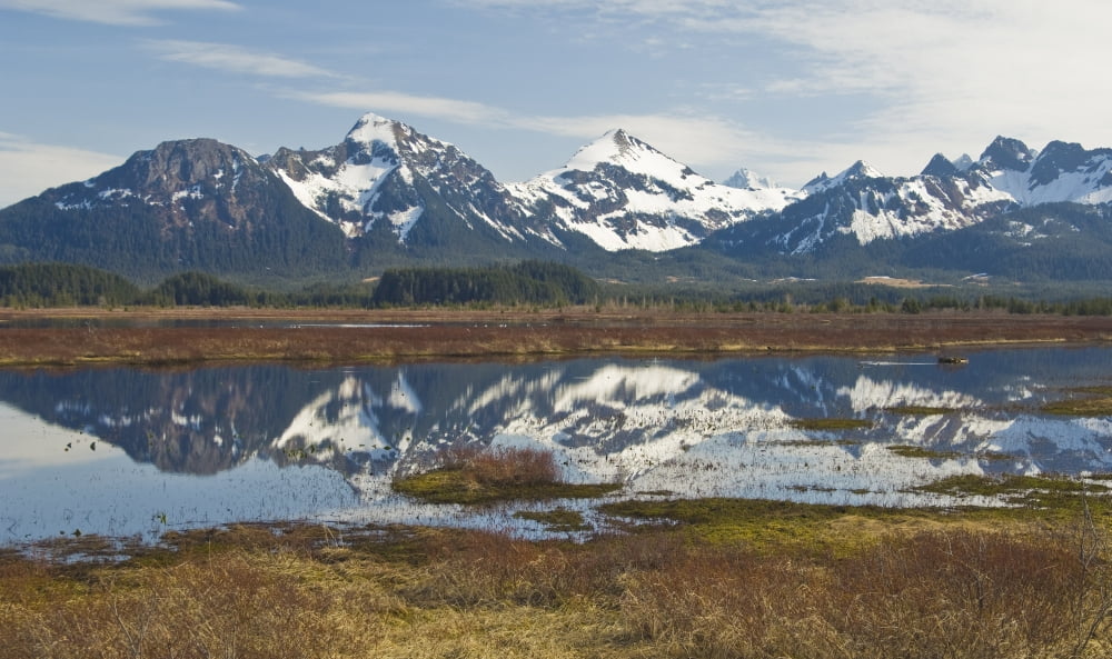 A View Of The Mountains Surrounding The Prince William Sound Near Aliganik Slough Southcentral Alaska Spring Canvas Art - Brian Guzzetti Design Pics (40 x 24)