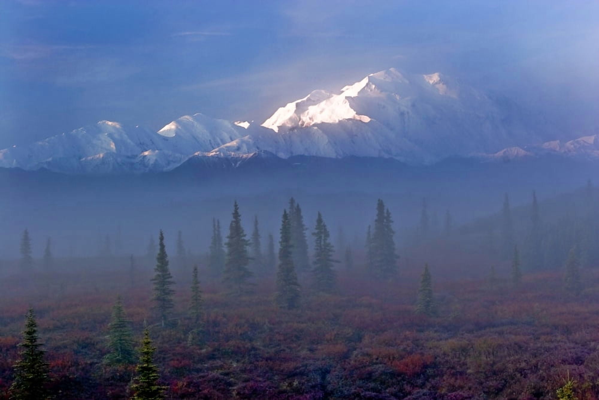 View Of Mt Mckinley In The Early Morning Fog From The Wonder Lake Campground In Denali National Park & Preserve Interior Alaska Fall Canvas Art - Lynn Wegener Design Pics (34 x 22)