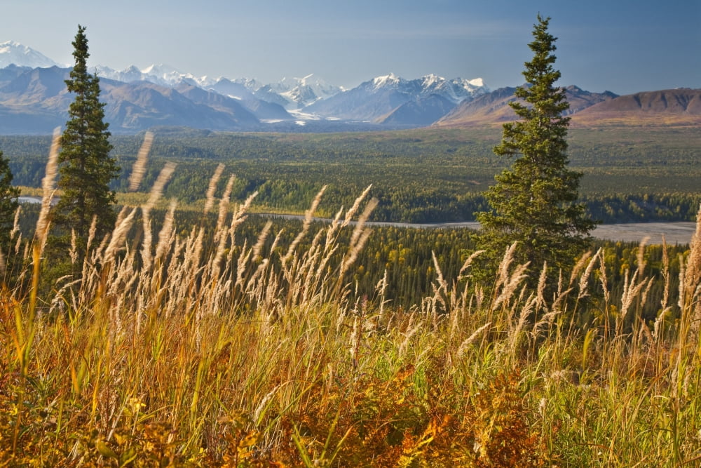 View Of Alaska Range And Eldridge Glacier Southcentral Alaska Autumn Canvas Art - Jeff Schultz Design Pics (17 x 11)