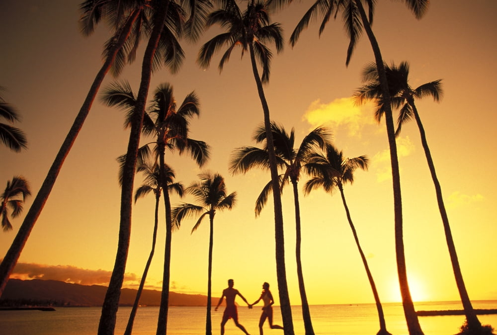 View Of Couple In Park By Beach Palm Trees Golden Sunset Canvas Art - Dana Edmunds  Design Pics (34 x 22)