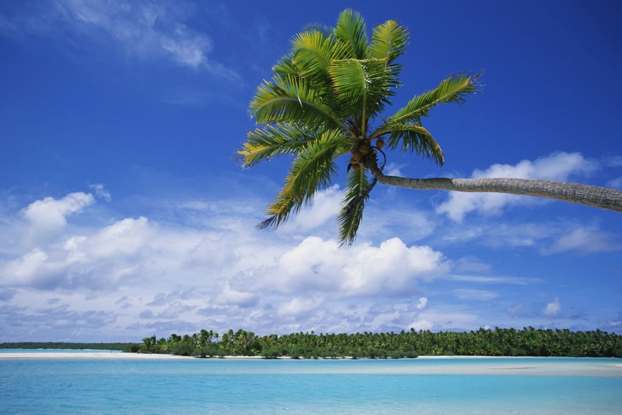 View Of Deserted Beach From Tapuae Tai Island Canvas Art - Paul Miles Design Pics (19 x 12)