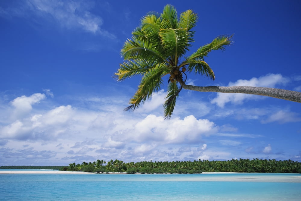 View Of Deserted Beach From Tapuae Tai Island Canvas Art - Paul Miles Design Pics (38 x 24)