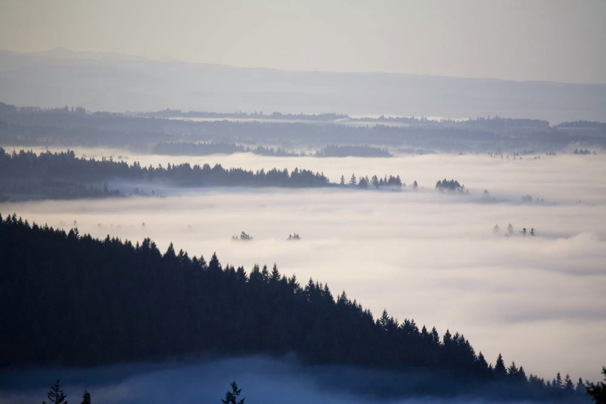 View Of Fog-Covered Willamette Valley From Mt Scott Oregon Usa Canvas Art - Craig Tuttle Design Pics (17 x 11)
