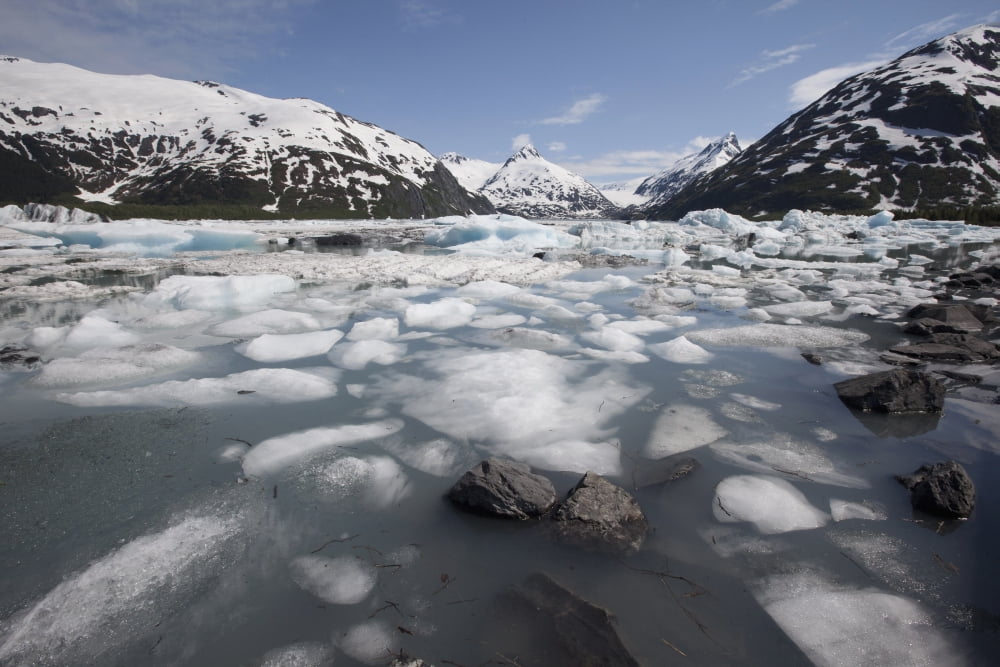 View Of Icebergs In Portage Lake Southcentral Alaska Summer Canvas Art - Doug Lindstrand Design Pics (38 x 24)