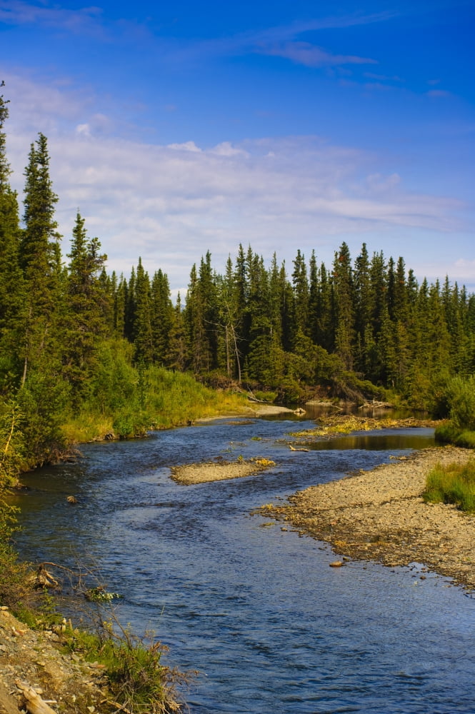 View Of Jack Creek Near Nabesna Road Wrangell Saint Elias National Park Southcentral Alaska Summer Canvas Art - Michael Jones Design Pics (22 x 34)