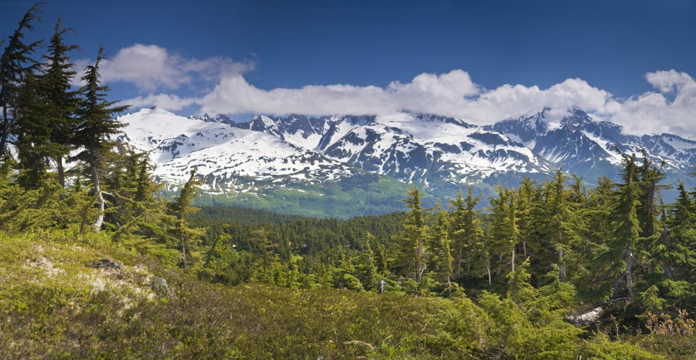 View Of Kenai Mountains From Lost Lake Trail Near Seward Alaska Kenai Penninsula Summer Canvas Art - Jeff Schultz Design Pics (38 x 20)