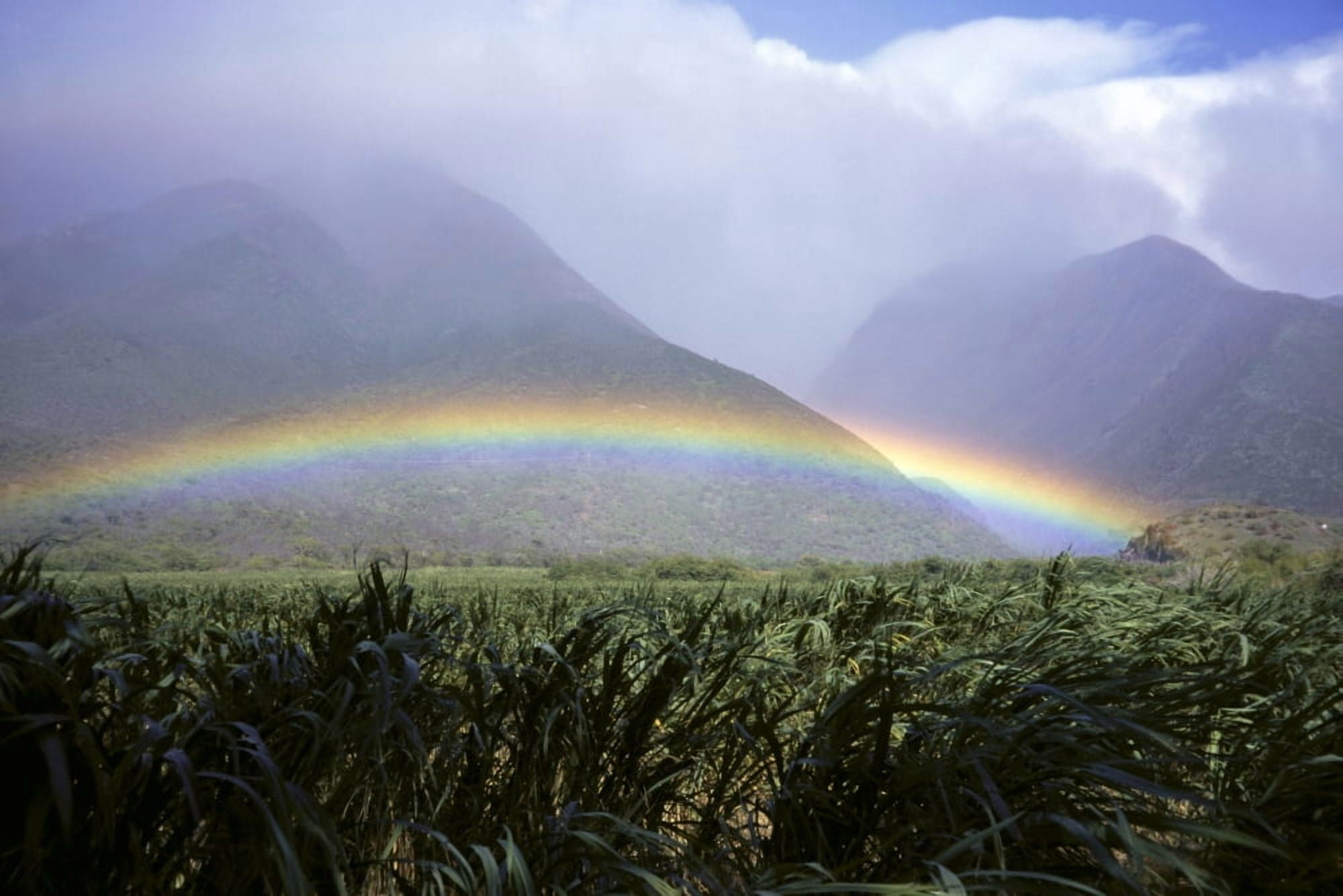 View Of Low Rainbow At Base Of Mountains Clouds Blue Sky Field Canvas Art - Bill Schildge Design Pics (38 x 24)