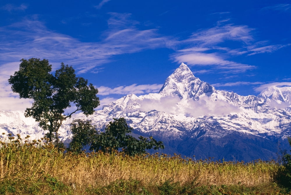 View Of Machhapuchhare From Sarangkot Annapurna Region Nepal Canvas Art - Bilderbuch Design Pics (18 x 12)