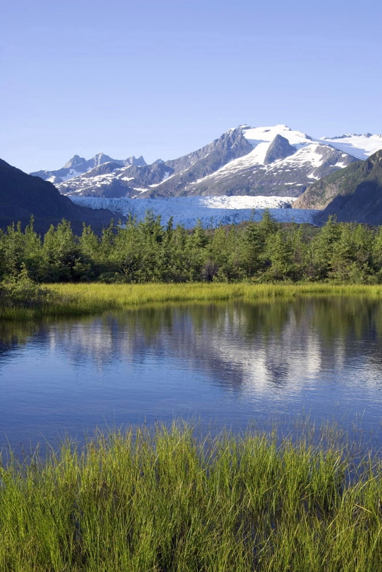 View Of Mendenhall Glacier With Pond And Green Grass In Foreground Juneau Southeast Alaska Summer Canvas Art - John Hyde Design Pics (11 x 17)