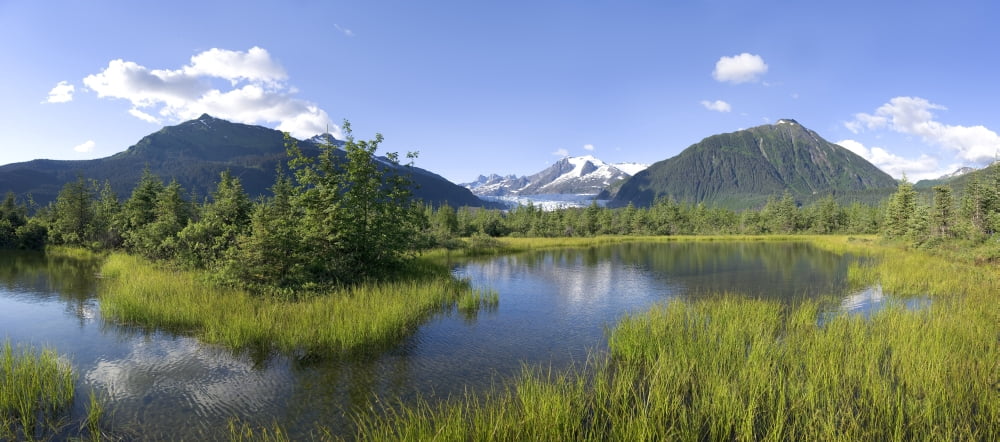View Of Mendenhall Glacier With Pond And Green Grass In Foreground Juneau Southeast Alaska Summer Canvas Art - John Hyde Design Pics (20 x 9)