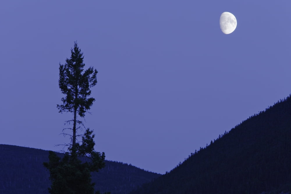 View Of Moon And Mountains Gaspesie Quebec Canvas Art - Yves Marcoux Design Pics (17 x 11)