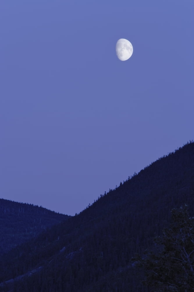 View Of Moon And Mountains Gaspesie Quebec Canvas Art - Yves Marcoux Design Pics (22 x 34)
