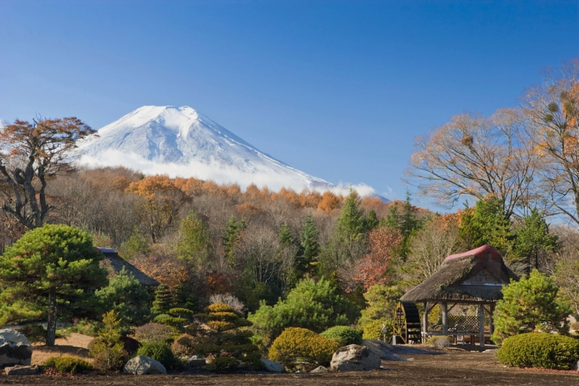 View Of Mount Fuji From A Japanese Garden Japan Canvas Art - APlights Design Pics (19 x 12)