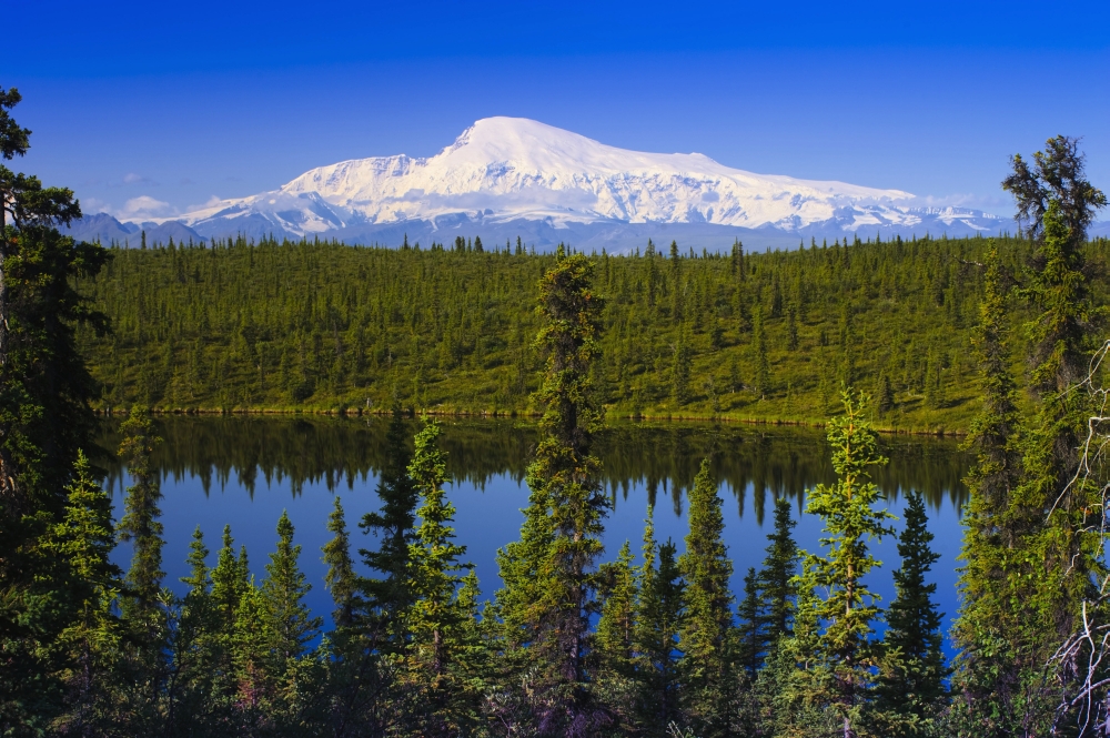View Of Mount Sanford From Long Lake Wrangell Saint Elias National Park Southcentral Alaska Summer Canvas Art - Michael Jones Design Pics (19 x 12)
