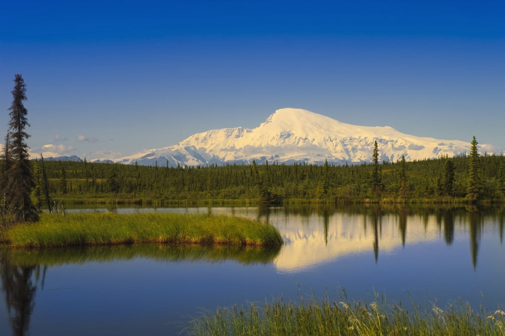 View Of Mount Sanford In Wrangell Saint Elias National Park Southcentral Alaska Summer Canvas Art - Michael Jones Design Pics (38 x 24)