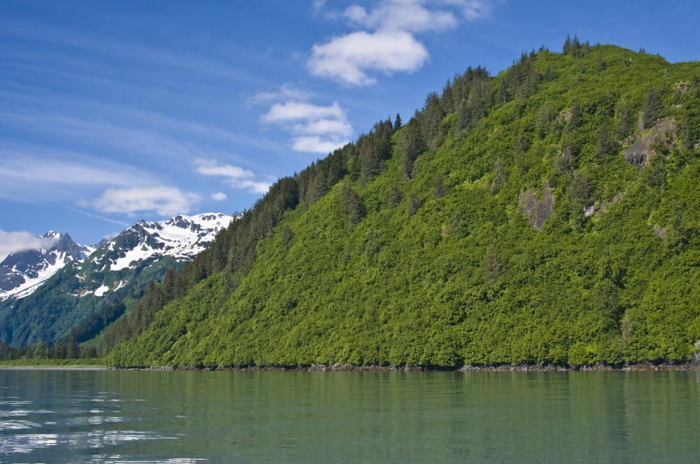 View Of Port Valdez Shoup Bay Prince William Sound Southcentral Alaska Summer Canvas Art - Kevin Smith Design Pics (19 x 12)