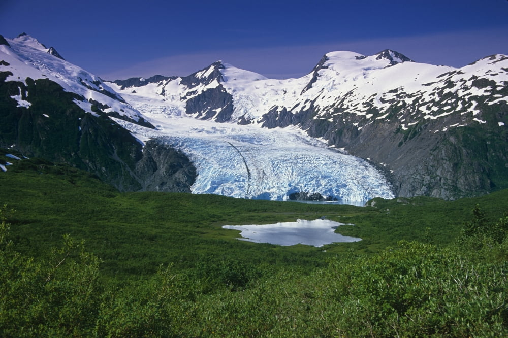 View Of Portage Glacier From Portage Pass Sc Alaska Summer Canvas Art - Jeff Schultz Design Pics (17 x 11)