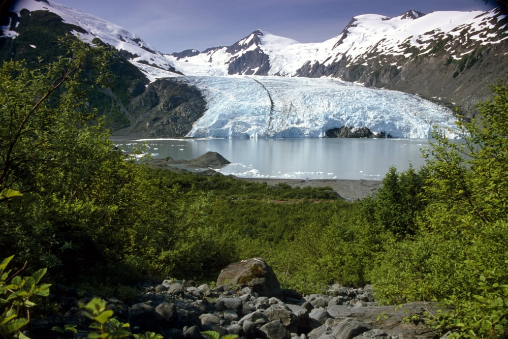 View Of Portage Glacier From Portage Pass Sc Alaska Summer Canvas Art - Jeff Schultz Design Pics (34 x 22)