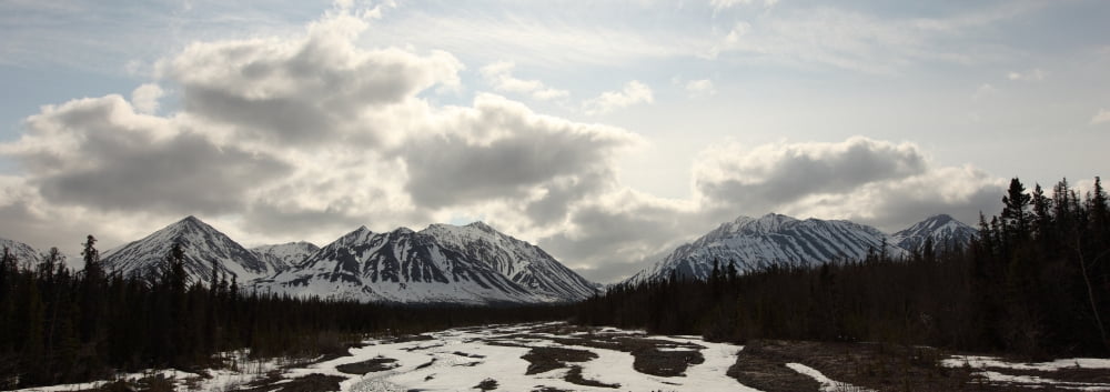 View Of Quill Creek In Kluane National Park Near Haines Junction Yukon Canvas Art - Robert Postma Design Pics (23 x 8)