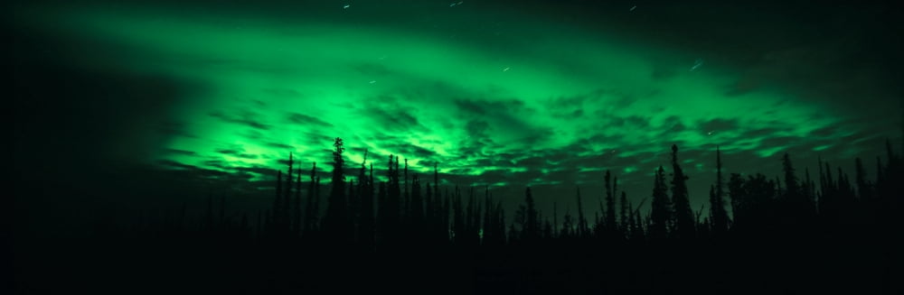 View Of The Northern Lights Aurora Borealis Fairbanks Alaska USA Canvas Art - Panoramic Images (36 x 12)