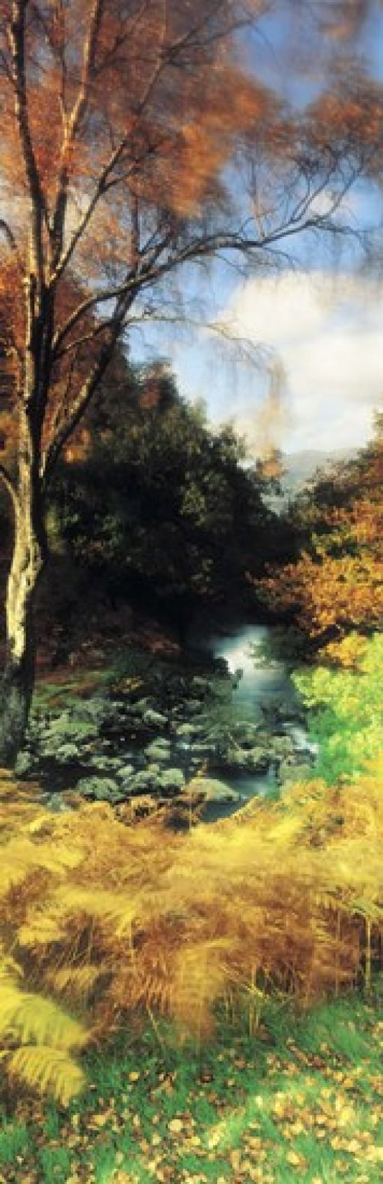 View Of The Valley Borrowdale Keswick Great Britain United Kingdom Canvas Art - Panoramic Images (18 x 6)