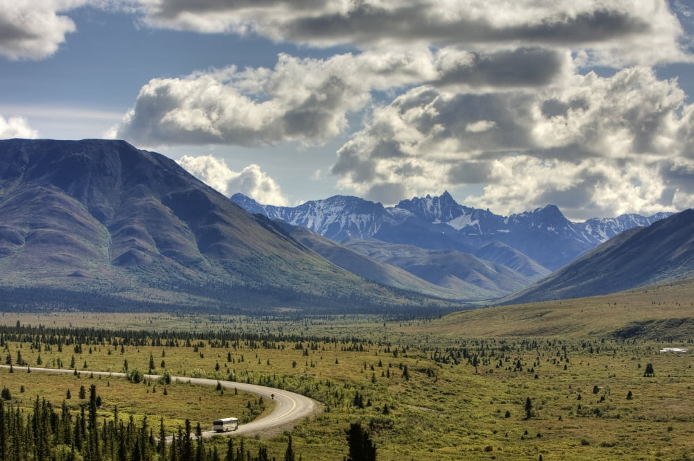 View Of The Park Road And The Before Savage River Denali National Park Interior Alaska Summer Hdr Image Canvas Art - Michael Criss Design Pics (17 x 11)