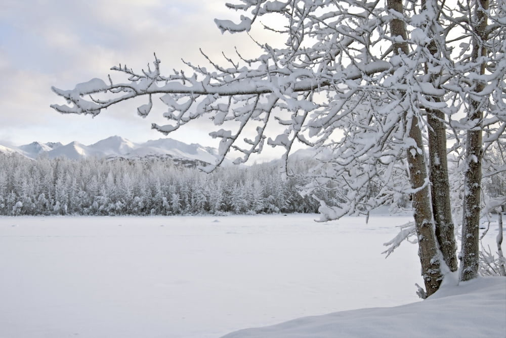 View Of Snow Covered Cheney Lake On A Winter Afternoon In East Anchorage With Chugach Mountains In The Background Southcentral Alaska Canvas Art - Harry M Walker Design Pics (19 x 12)