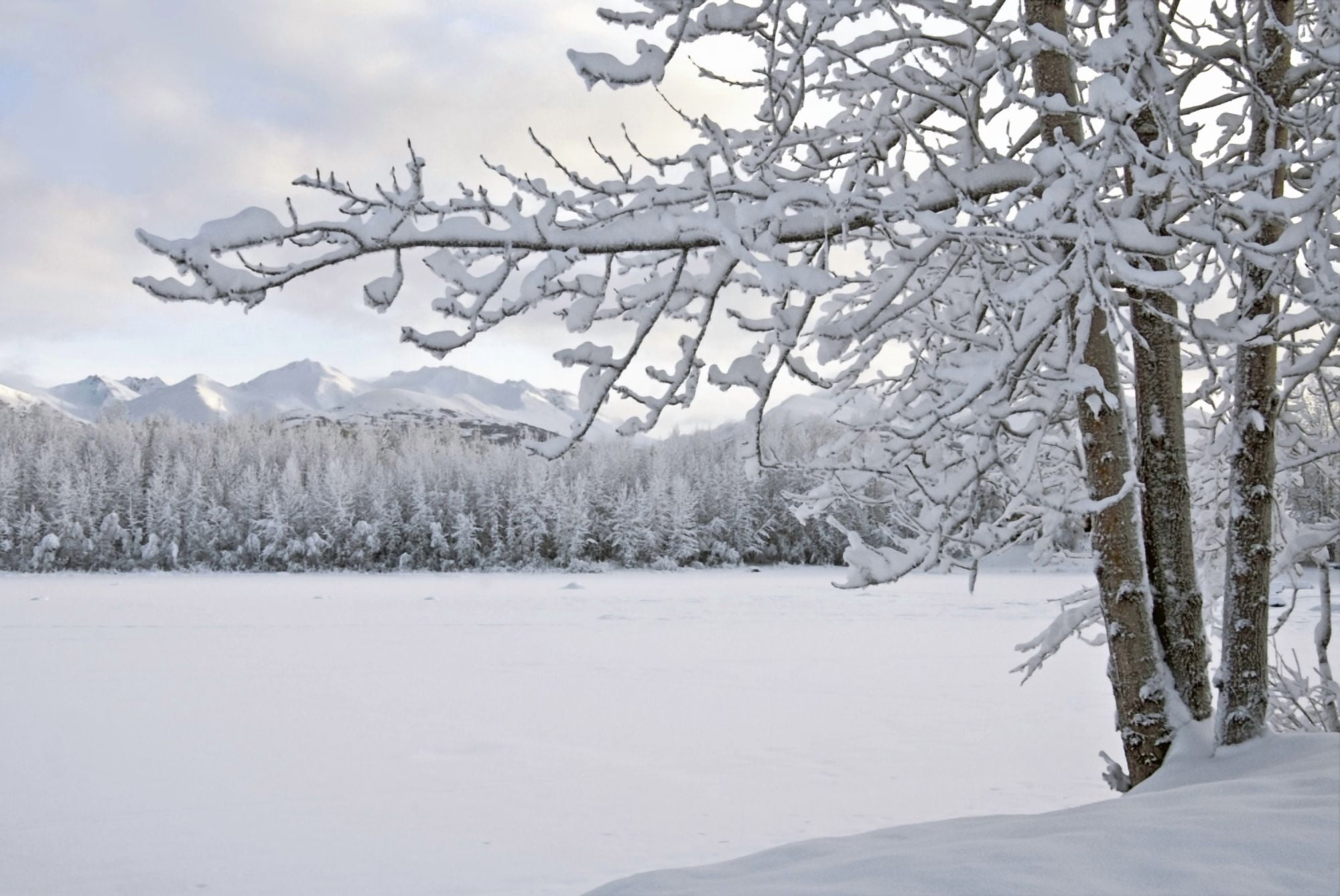 View Of Snow Covered Cheney Lake On A Winter Afternoon In East Anchorage With Chugach Mountains In The Background Southcentral Alaska Canvas Art - Harry M Walker Design Pics (38 x 24)