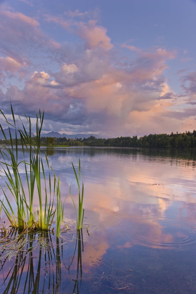 View Of Sunset Clouds Reflected In Westchester Lagoon Near Downtown Anchorage Southcentral Alaska Summer Canvas Art - Kevin Smith  Design Pics (12 x 18)