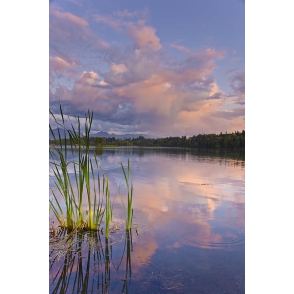 View Of Sunset Clouds Reflected In Westchester Lagoon Near Downtown Anchorage Southcentral Alaska Summer Canvas Art - Kevin Smith Design Pics (12 x 18)